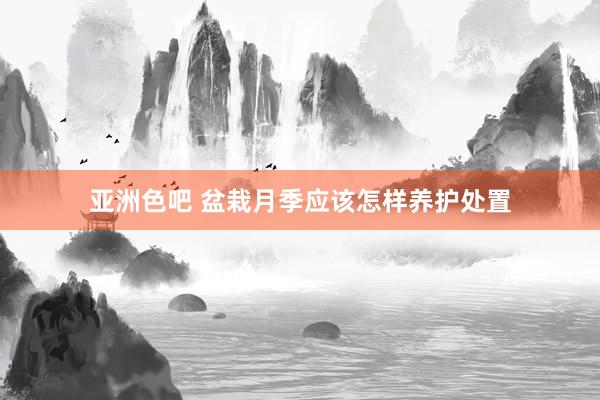 亚洲色吧 盆栽月季应该怎样养护处置