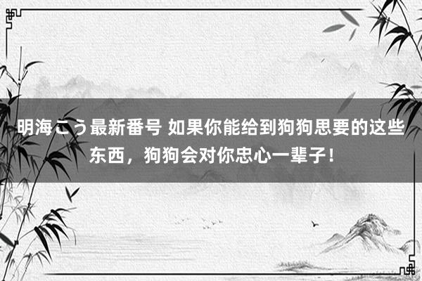 明海こう最新番号 如果你能给到狗狗思要的这些东西，狗狗会对你忠心一辈子！