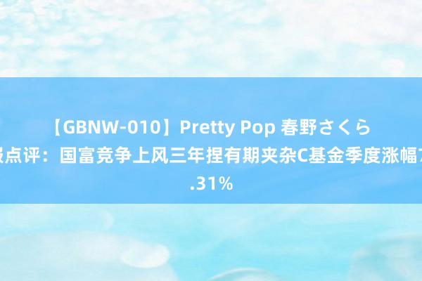 【GBNW-010】Pretty Pop 春野さくら 二季报点评：国富竞争上风三年捏有期夹杂C基金季度涨幅7.31%