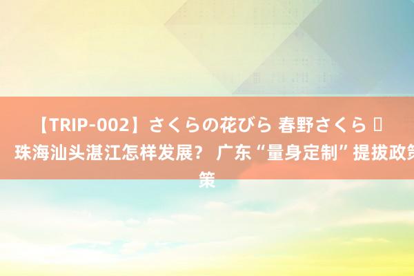 【TRIP-002】さくらの花びら 春野さくら 		 珠海汕头湛江怎样发展？ 广东“量身定制”提拔政策