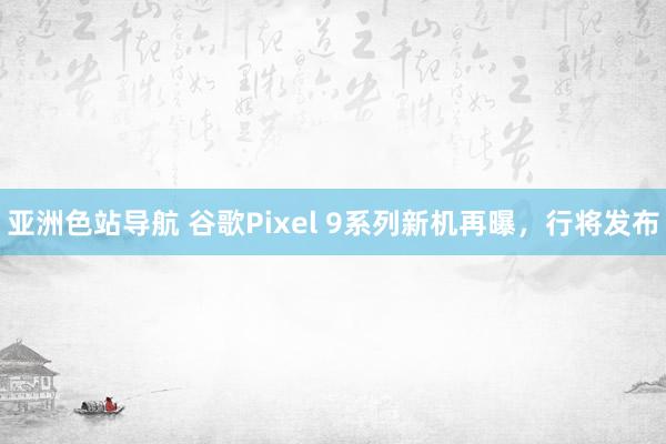 亚洲色站导航 谷歌Pixel 9系列新机再曝，行将发布