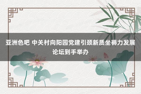 亚洲色吧 中关村向阳园党建引颈新质坐褥力发展论坛到手举办