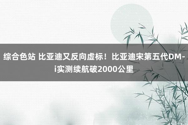 综合色站 比亚迪又反向虚标！比亚迪宋第五代DM-i实测续航破2000公里