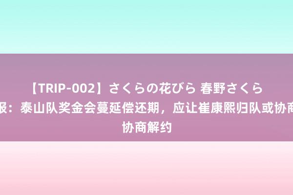 【TRIP-002】さくらの花びら 春野さくら 足球报：泰山队奖金会蔓延偿还期，应让崔康熙归队或协商解约