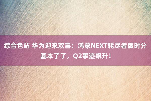 综合色站 华为迎来双喜：鸿蒙NEXT耗尽者版时分基本了了，Q2事迹飙升！