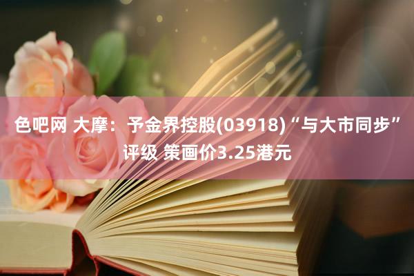 色吧网 大摩：予金界控股(03918)“与大市同步”评级 策画价3.25港元