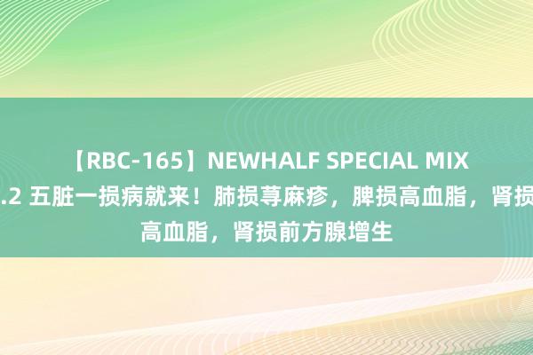 【RBC-165】NEWHALF SPECIAL MIX 240分 Vol.2 五脏一损病就来！肺损荨麻疹，脾损高血脂，肾损前方腺增生