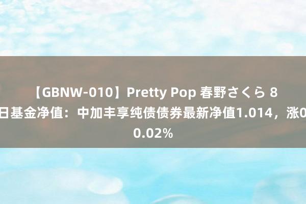 【GBNW-010】Pretty Pop 春野さくら 8月16日基金净值：中加丰享纯债债券最新净值1.014，涨0.02%