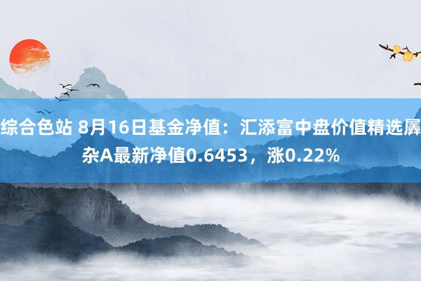 综合色站 8月16日基金净值：汇添富中盘价值精选羼杂A最新净值0.6453，涨0.22%