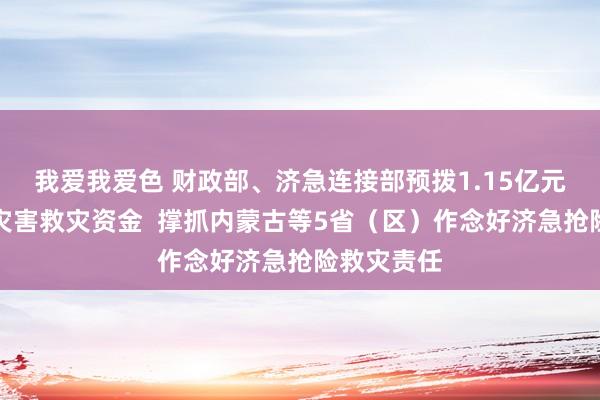 我爱我爱色 财政部、济急连接部预拨1.15亿元中央当然灾害救灾资金  撑抓内蒙古等5省（区）作念好济急抢险救灾责任