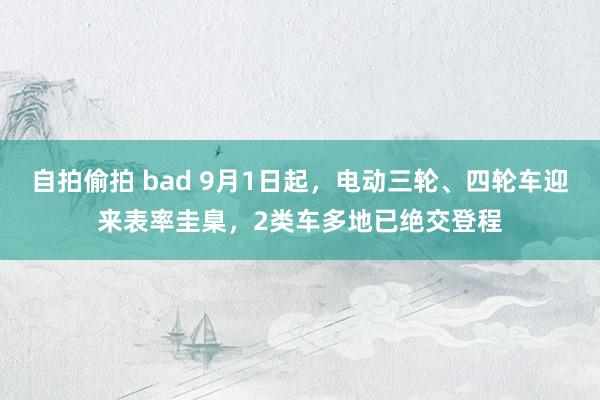 自拍偷拍 bad 9月1日起，电动三轮、四轮车迎来表率圭臬，2类车多地已绝交登程