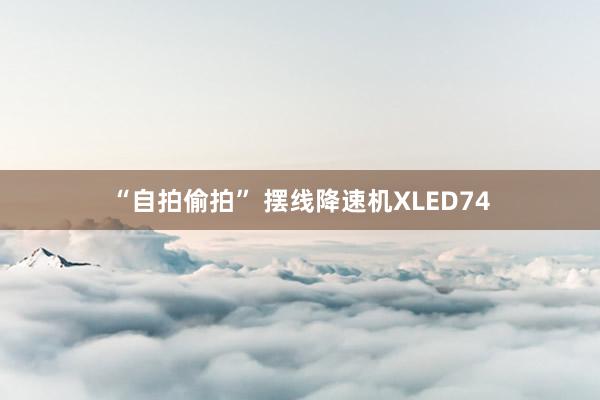 “自拍偷拍” 摆线降速机XLED74