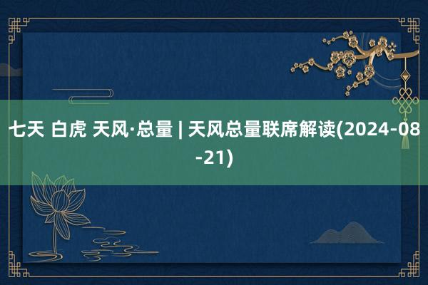 七天 白虎 天风·总量 | 天风总量联席解读(2024-08-21)