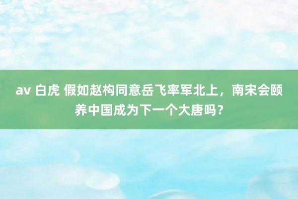 av 白虎 假如赵构同意岳飞率军北上，南宋会颐养中国成为下一个大唐吗？