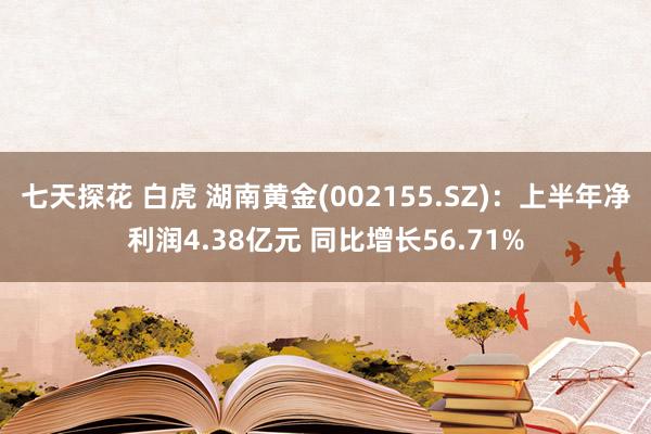 七天探花 白虎 湖南黄金(002155.SZ)：上半年净利润4.38亿元 同比增长56.71%