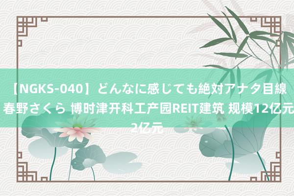 【NGKS-040】どんなに感じても絶対アナタ目線 春野さくら 博时津开科工产园REIT建筑 规模12亿元