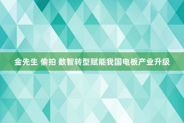 金先生 偷拍 数智转型赋能我国电板产业升级