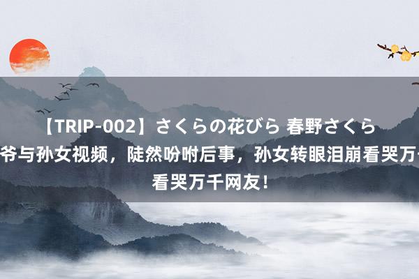 【TRIP-002】さくらの花びら 春野さくら 89岁爷爷与孙女视频，陡然吩咐后事，孙女转眼泪崩看哭万千网友！