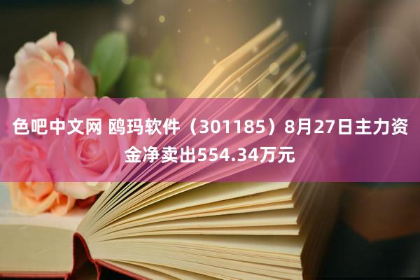 色吧中文网 鸥玛软件（301185）8月27日主力资金净卖出554.34万元