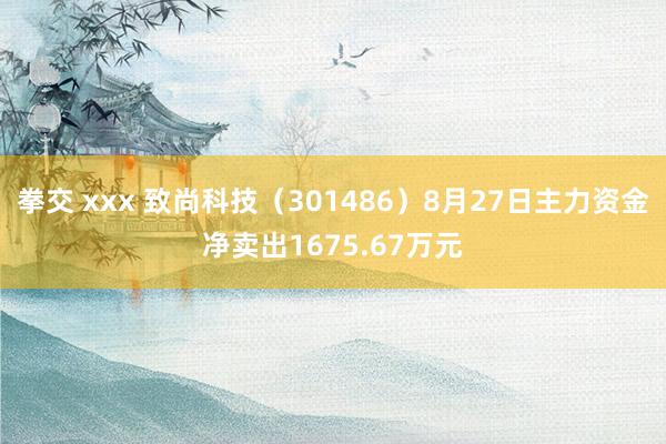 拳交 xxx 致尚科技（301486）8月27日主力资金净卖出1675.67万元