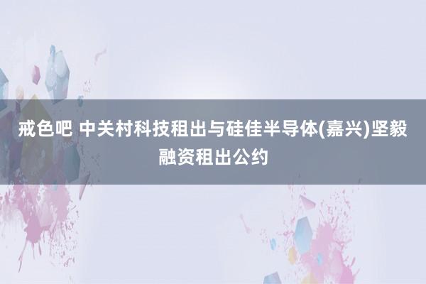 戒色吧 中关村科技租出与硅佳半导体(嘉兴)坚毅融资租出公约