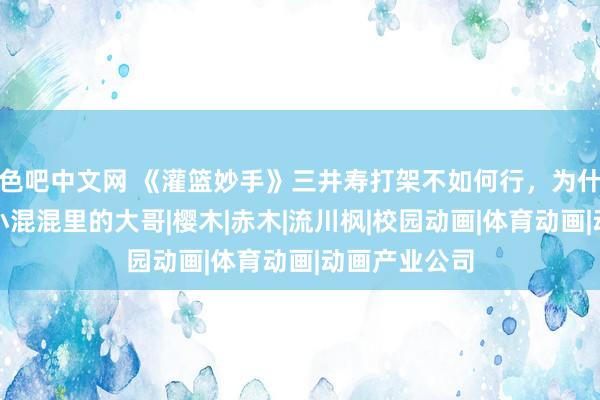 色吧中文网 《灌篮妙手》三井寿打架不如何行，为什么还能当上小混混里的大哥|樱木|赤木|流川枫|校园动画|体育动画|动画产业公司