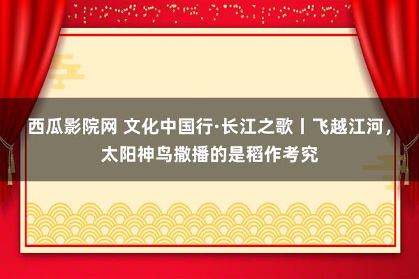 西瓜影院网 文化中国行·长江之歌丨飞越江河，太阳神鸟撒播的是稻作考究