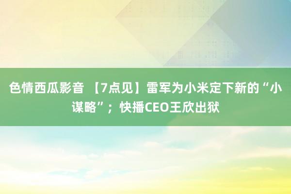 色情西瓜影音 【7点见】雷军为小米定下新的“小谋略”；快播CEO王欣出狱