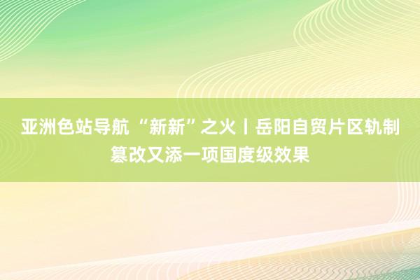 亚洲色站导航 “新新”之火丨岳阳自贸片区轨制篡改又添一项国度级效果