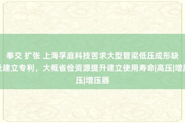 拳交 扩张 上海孚庭科技苦求大型管梁低压成形缺陷及建立专利，大概省俭资源提升建立使用寿命|高压|增压器