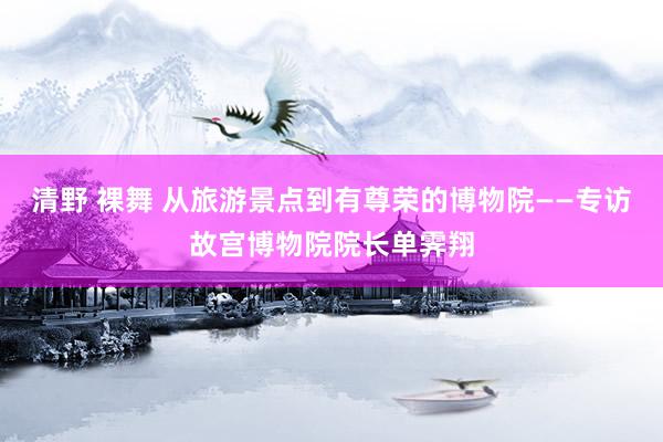 清野 裸舞 从旅游景点到有尊荣的博物院——专访故宫博物院院长单霁翔